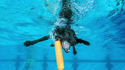 HydroVision-Images