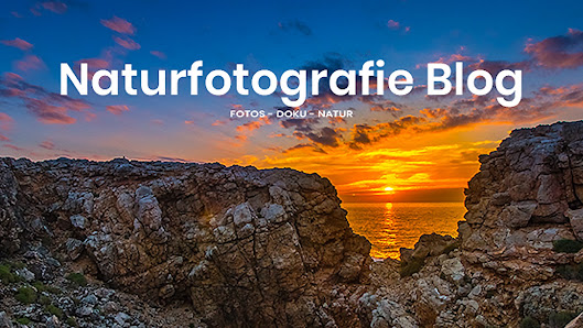 Naturfotografie Blog – Bild 2