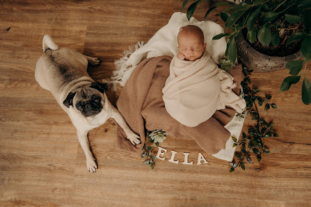 JOLLI Fotografie- emotionale Fotografie für Baby, Familie & Hochzeit – Bild 5