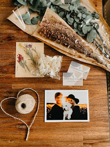 Michelle Renner Fotografie – Bild 4