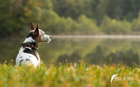 FEEL-SEE Photography – Bild 5