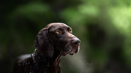 Sandowa Fotografie - Tierfotografie Rems-Murr-Kreis