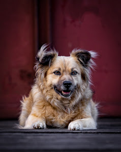 Christian Herzog Photography – Bild 3