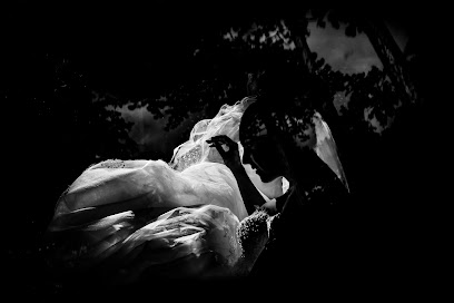 Steven Herrschaft Photography