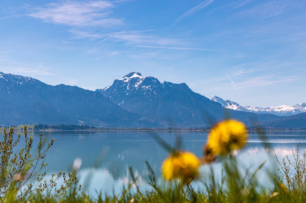 Dennis Siebert Fotografie - Fotografie aus dem Allgäu – Bild 2