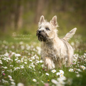 Tierfotografie Manuela Kunze – Bild 3