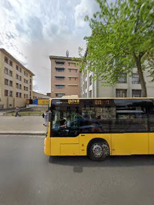 FOTOGRAFISCH – Bild 2