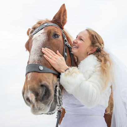 H A N N A FOTOS - Fotografin für Hochzeiten, Familien & Kinder