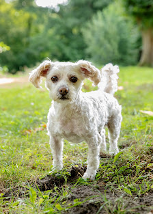 Melboe PHOTOGRAPHY – Bild 3