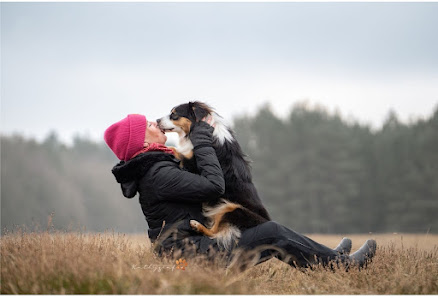 Tierfotografie aus Lübeck und an der Ostsee - Kathygrafie – Bild 3