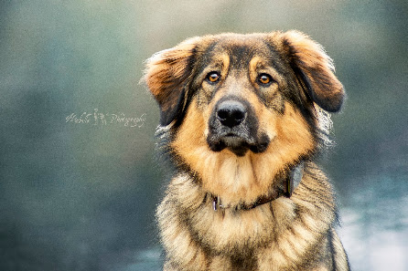 Mabelle Photography – Bild 2