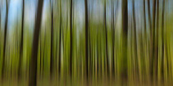 Donato Cuoio | CMP - Creativity Meets Photography – Bild 3
