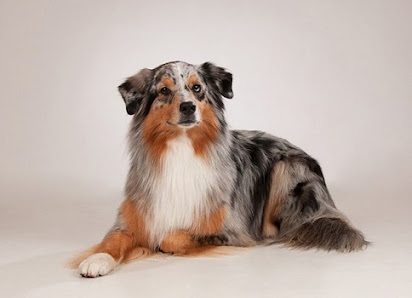 Foto M Studio für Portrait und Werbeaufnamen – Bild 3