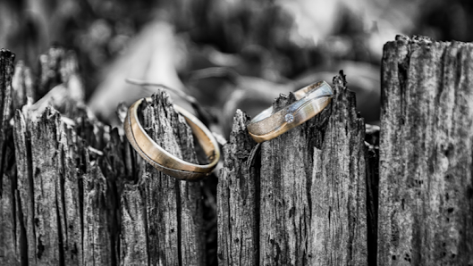 Michlsfotostudio – Bild 2