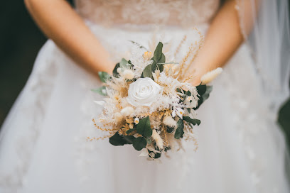 natural light moments - Fotografien von Jennifer Weber