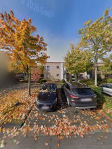 Noah A. Schmitz – Bild 2