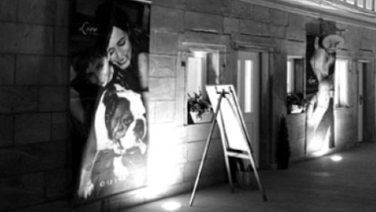 Fotostudio Gut – Bild 2