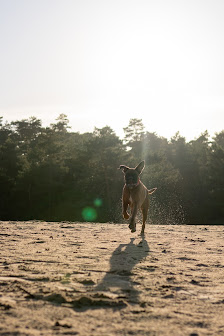 PhotosbyToSch – Bild 3