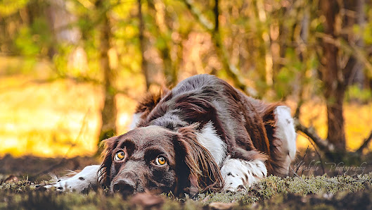 Mabelle Photography – Bild 3