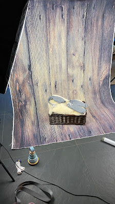 Jördis Lehmann Fotografie – Bild 2
