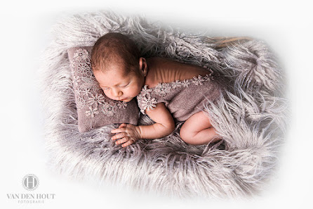 van den Hout Fotografie – Bild 3