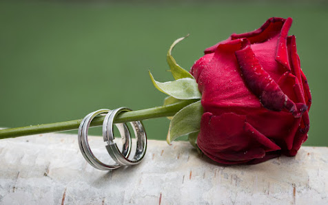 Hochzeitsfotografen Döbeln – Bild 2