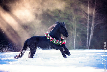 kleine Fotoschmiede – Bild 2
