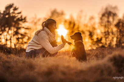 ccfotografie | Fotografie für Hunde & Hochzeiten