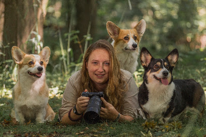 Pixelgraphy by Annie - Hundefotografie