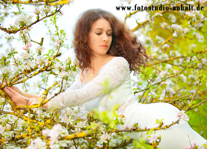 fotostudio-anhalt.de