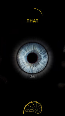 Chris Seidl Photographyx – Bild 3