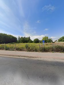 Vitaliy Zalishchyker Fotografie – Bild 8
