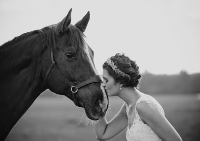 Johanna Hagen Fotografie