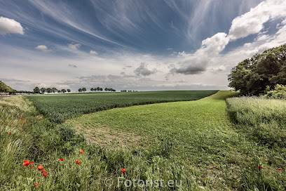 "Fotorist" Matthias Budde