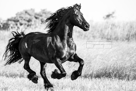 Yvonne Mey Photography – Bild 4