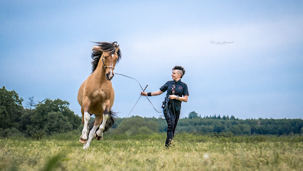 Gina Lange Fotografie