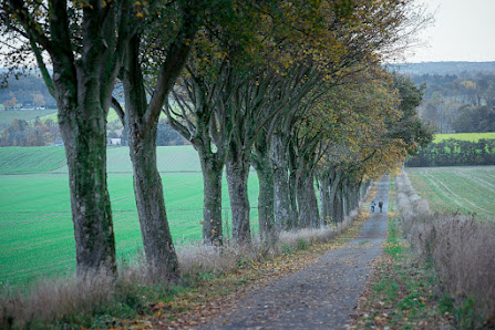 Bajanowski-Fotografie – Bild 5