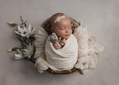 Sandra Knoll Fotografie – Bild 2