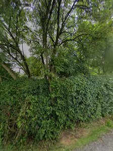 Thomas Willerer Photograph – Bild 2