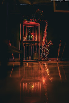 Neumann Fotografie – Bild 2