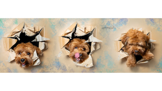 Heart-Photography Jennifer Strother – Bild 2