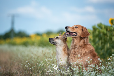 Fellkeks Fotografie – Bild 4