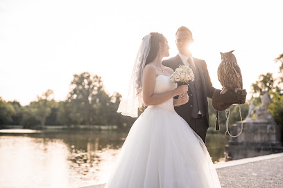 Knickerbocker Photography
