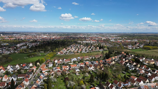 Palatinadrohne – Bild 3