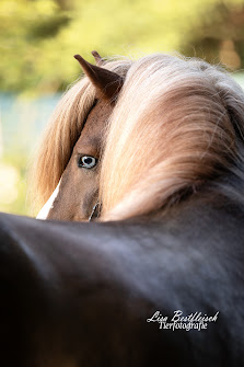 Lisa Bestfleisch Tierfotografie – Bild 2