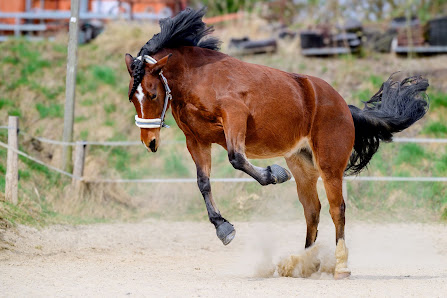 S.Paaß Photography – Fotografin in Solingen – Bild 6