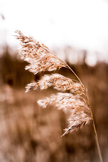 TiFi Fotografie – Bild 6