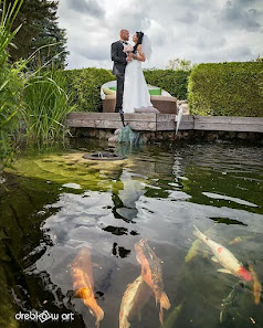dreblow art Fotografie – Bild 5