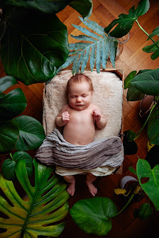 MOIN BABY Neugeborenenfotografie – Bild 4