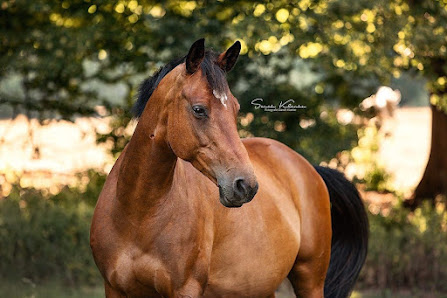 Fotografie Sarah Klanke – Bild 3